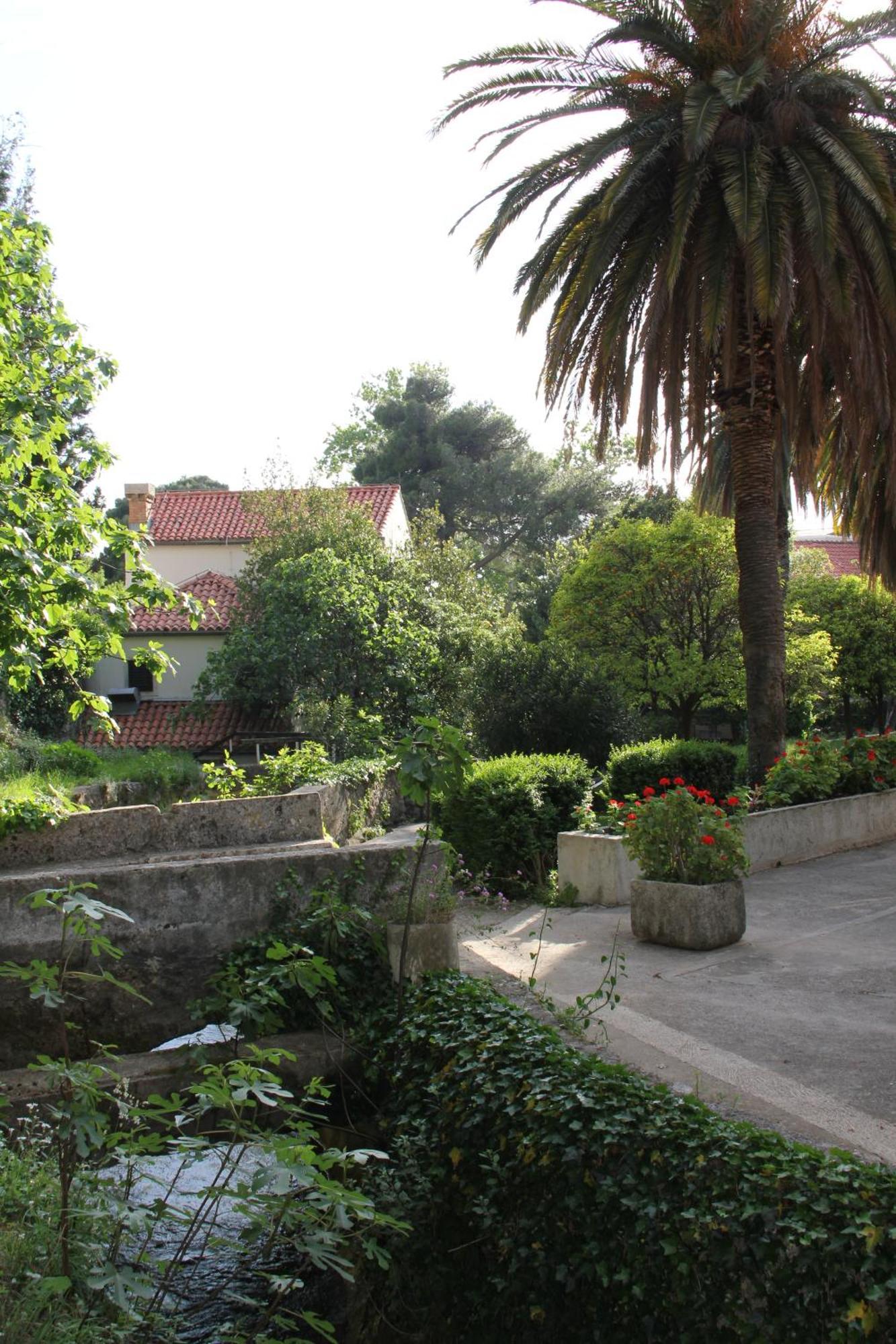 Studio Apartments Andrijana Mlini Luaran gambar